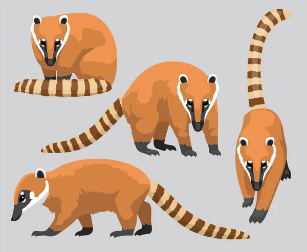 South American Coati Cartoon Poses Vector Illustration