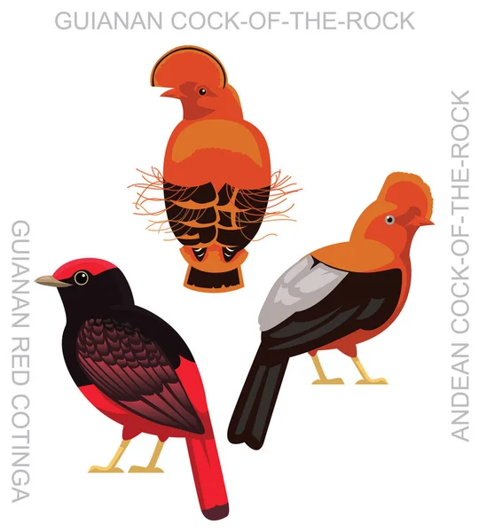 Cute Bird Cock Rock Set Cartoon Vector — Διανυσματικό Αρχείο