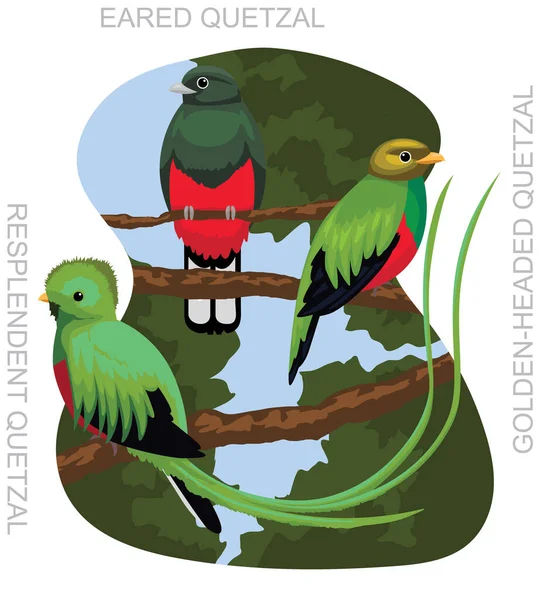 Cute Bird Quetzal Set Cartoon Vector — Vettoriale Stock