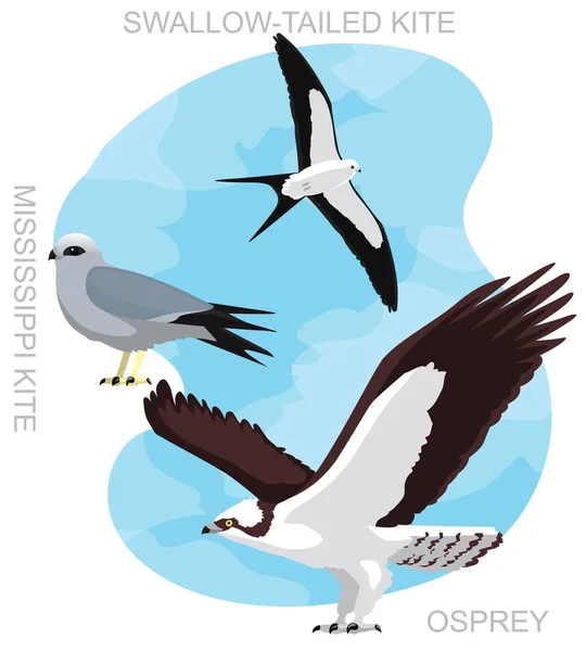 Милий Птах Osprey Kite Набір Мультфільмів Вектор — стоковий вектор