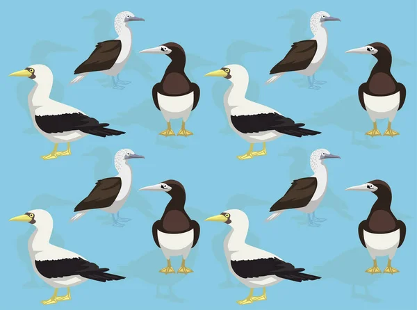 Vogel Booby Cartoon Karakter Naadloze Achtergrond — Stockvector