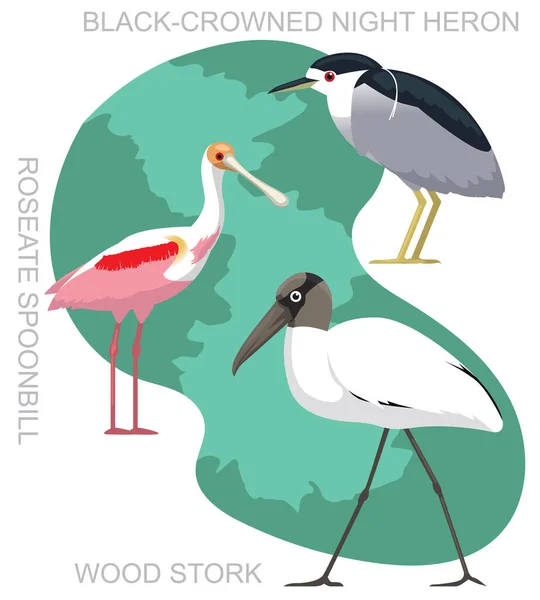 Cute Bird Wood Stork Night Heron Set Cartoon Vector — Stockvektor