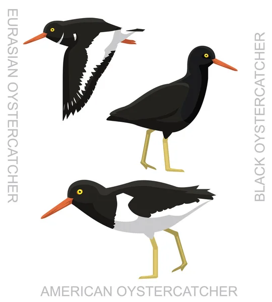 Niedliche Vogel Austernfischer Set Cartoon Vector — Stockvektor