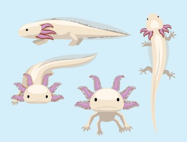 Animal Poses Salamander Axolotl Cartoon Character Vector clipart