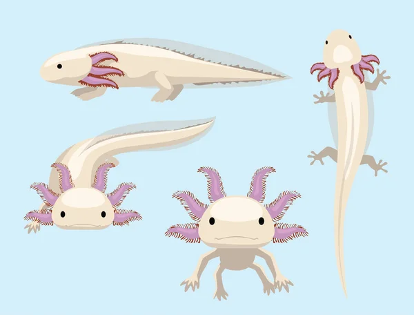Animal Poses Salamander Axolotl Cartoon Character Vector — стоковий вектор