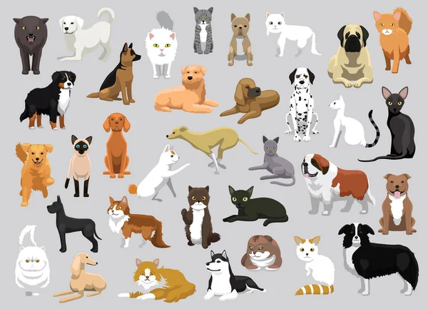 Állatok Háziállatok Macskák Kutyák Karakterek Rajzfilm Vektor — Stock Vector