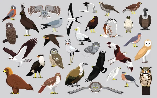 Animal Bird Prey Eagle Hawk Kite Falcon Owl Vulture Characters — 스톡 벡터