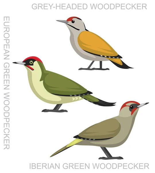 Pássaro Bonito European Green Woodpecker Set Cartoon Vector — Vetor de Stock