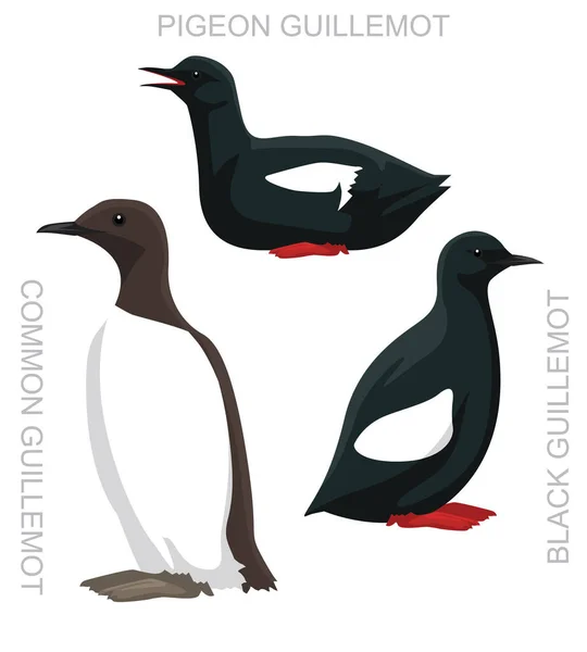 Lindo Pájaro Murre Guillemot Conjunto Dibujos Animados Vector — Vector de stock
