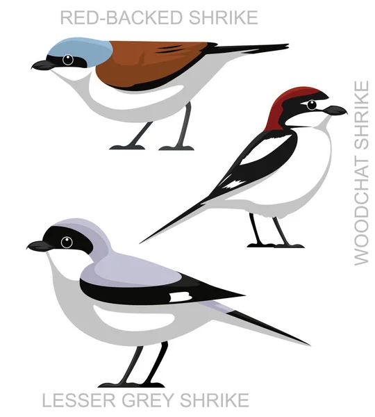 Cute Bird European Shrike Set Cartoon Vector — Vetor de Stock