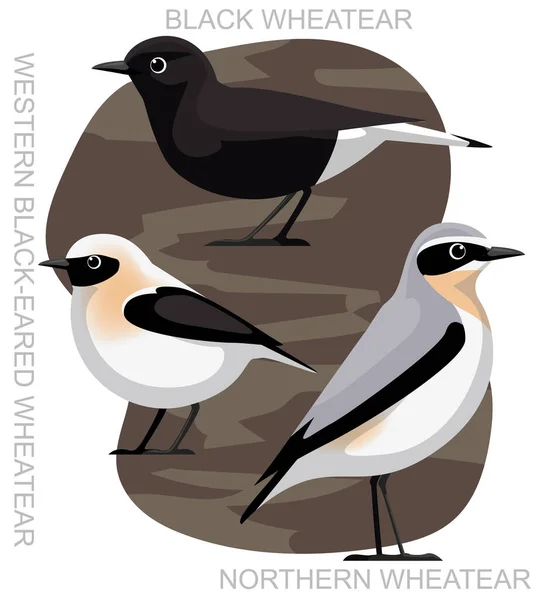 かわいい鳥のウェアセット漫画ベクトル — ストックベクタ