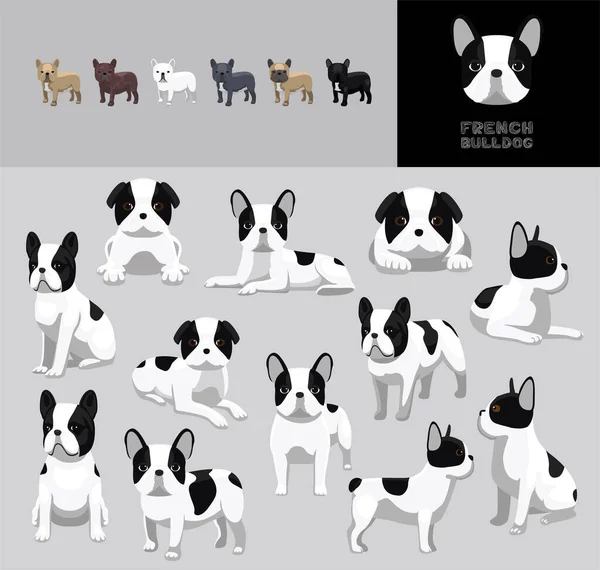Hond Franse Bulldog Pied Black Coat Tekenfilm Vector Illustratie Kleur — Stockvector