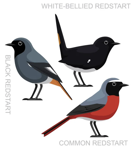 Conjunto Redstart Comum Pássaro Bonito Cartoon Vector — Vetor de Stock