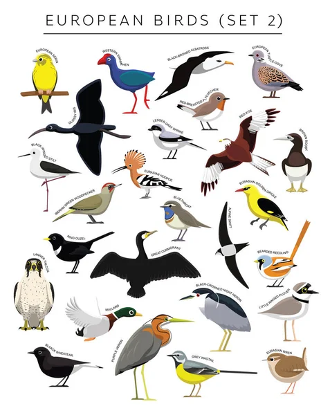 Uccelli Europei Impostare Personaggio Vettoriale Cartone Animato — Vettoriale Stock