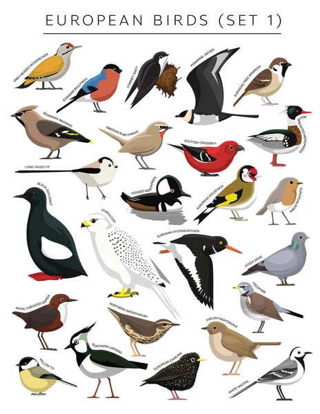 Conjunto Europeu Aves Personagem Vetor Desenhos Animados — Vetor de Stock