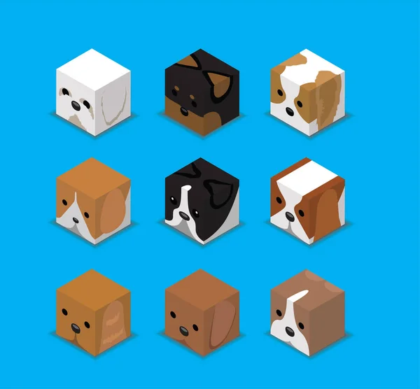 Würfelbox Charakter Haustier Kleine Hunde Animal Set Cartoon Vector — Stockvektor