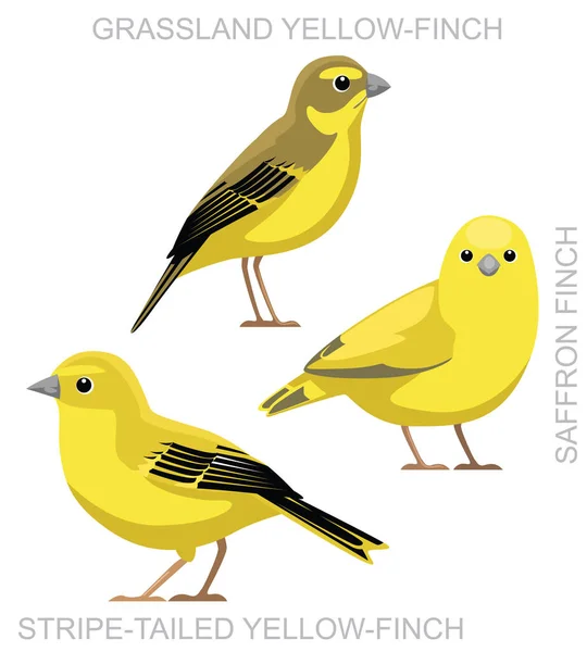 Ave Bonito Saffron Finch Amarelo Set Cartoon Vector — Vetor de Stock