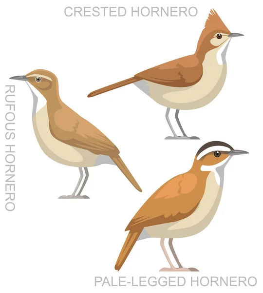 Carino Uccello Ornero Set Cartone Animato Vettoriale — Vettoriale Stock