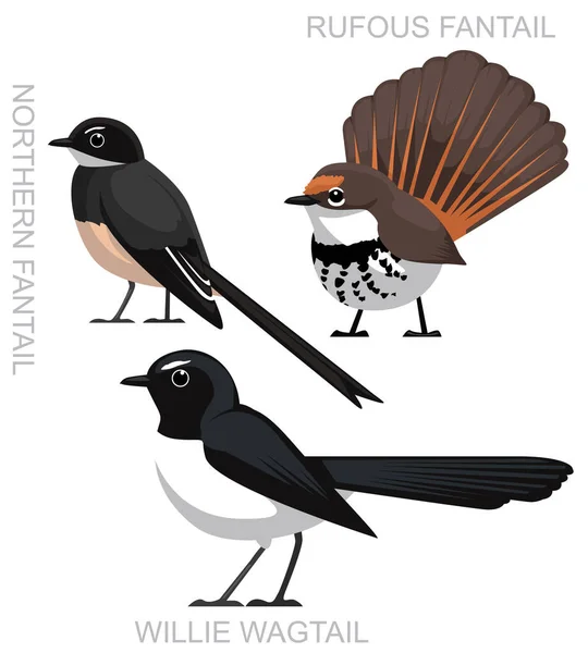Söt Fågel Australiska Fantail Wagtail Set Tecknad Vektor — Stock vektor