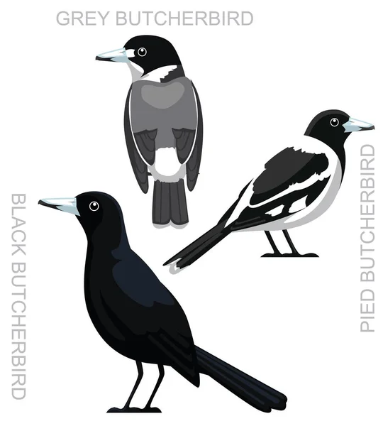 Roztomilý Pták Australský Černý Máslový Set Karikatura Vektor — Stockový vektor