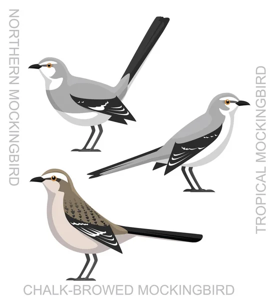 Söt Fågel Mockingbird Set Tecknad Vektor — Stock vektor