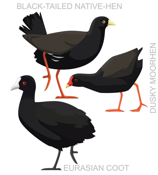 Cute Bird Coot Moorhen Set Vecteur Bande Dessinée — Image vectorielle