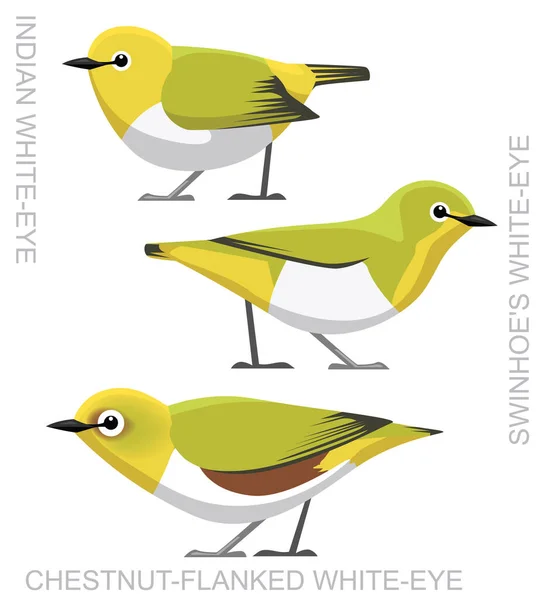 Schattige Vogel Wit Oog Set Cartoon Vector — Stockvector