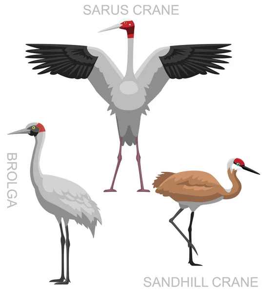Cute Bird Brolga Sarus Crane Sandhill Set Cartoon Vector — Vetor de Stock