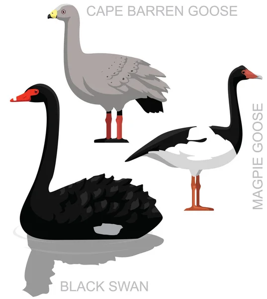 Cisne Preto Pássaro Bonito Australian Goose Set Cartoon Vector — Vetor de Stock