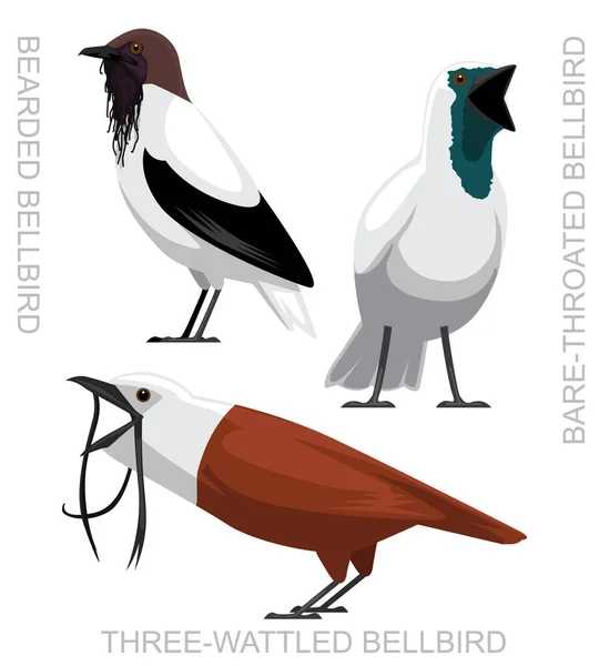 Lindo Pájaro Bellbird Conjunto Dibujos Animados Vector — Vector de stock
