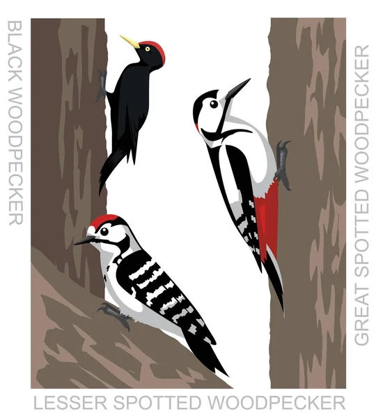 Симпатичный Bird Black Spotted Woodpecker Set Cartoon — стоковый вектор