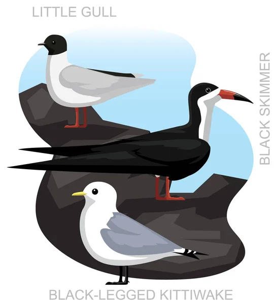 Mignon Oiseau Mouette Mouette Kittiwake Skimmer Set Vecteur Bande Dessinée — Image vectorielle