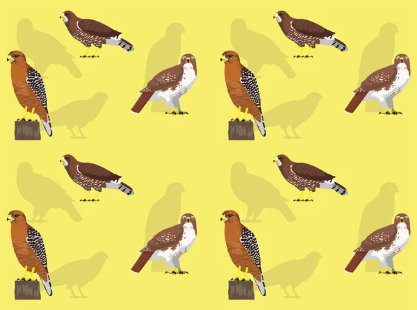 Falknerei Red Tailed Hawk Cute Cartoon Posen Nahtlose Hintergrundbilder — Stockvektor