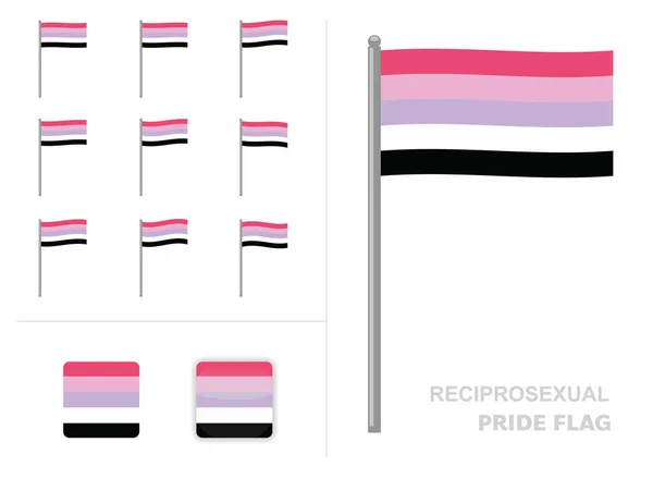 Reciprosexual Pride Flag Waving Animation App Icon Vector — Stockový vektor