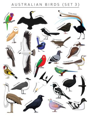 Australian Birds Set Cartoon Vector Character 3 clipart