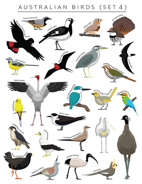 Australijski Ptaków Zestaw Znaków Wektor Kreskówki — Wektor stockowy
