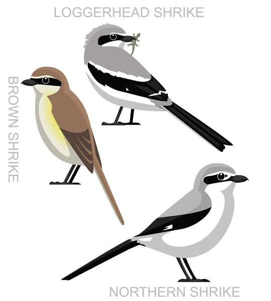 Roztomilý Pták Shrike Set Cartoon Vector — Stockový vektor