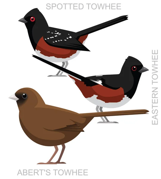 Mignon Oiseau Towhee Set Vecteur Bande Dessinée — Image vectorielle