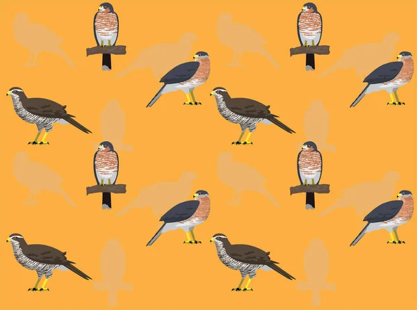 Bird Falconry Accipiter Goshawk Zestaw Cute Cartoon Bezszwowe Tapety Tło — Wektor stockowy