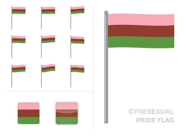 Gynesexual Pride Flag Waving Animation Alkalmazás Ikon Vektor — Stock Vector