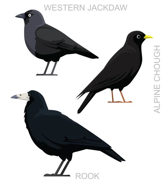 Söt Bird Rook Jackdaw Chough Crow Set Tecknad Vektor — Stock vektor