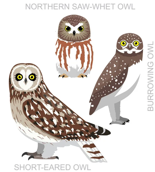 Cute Bird Owl Saw Whet Burrowing Set Cartoon Vector — стоковый вектор