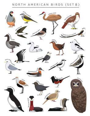 North American Birds Set Cartoon Vector Character 8 clipart