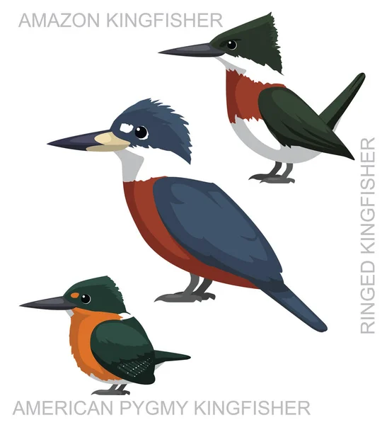 นกน Kingfisher โกช ดเวกเตอร การ — ภาพเวกเตอร์สต็อก