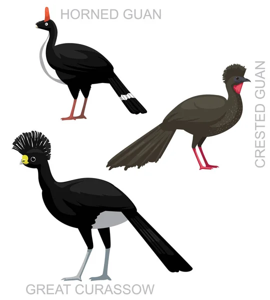Cute Bird Guan Curassow Set Vecteur Bande Dessinée — Image vectorielle