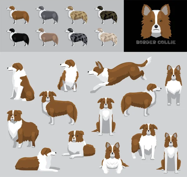 Cão Fronteira Collie Cartoon Vector Ilustração Cor Variação Set Brown — Vetor de Stock