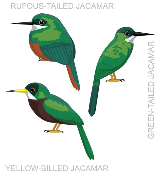 Lindo Pájaro Jacamar Set Vector Dibujos Animados — Archivo Imágenes Vectoriales