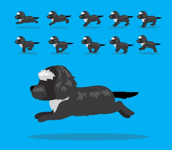 Animace Zvířat Sekvence Pes Portugalský Vodní Pes Karikatura Vektor — Stockový vektor