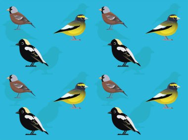 Kuş Bobolink Grosgaga Rosy-Finch Şirin Çizgi Filmci Kusursuz Duvar Kağıdı