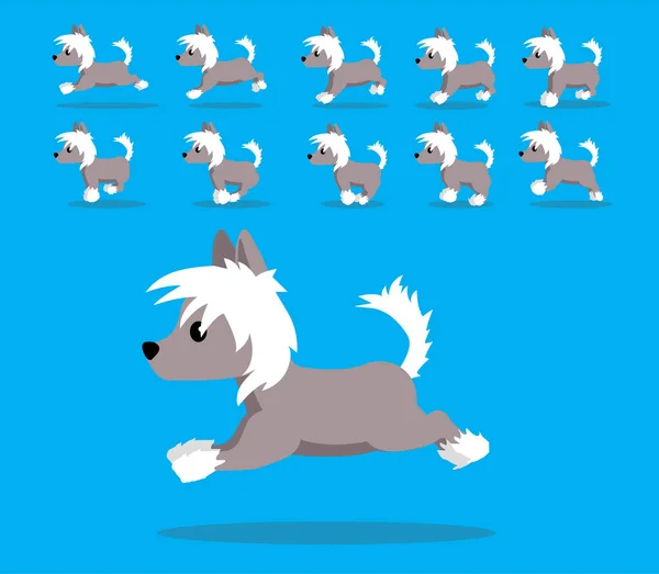 Animation Animation Séquence Chien Chinois Crested Cartoon Vecto — Image vectorielle